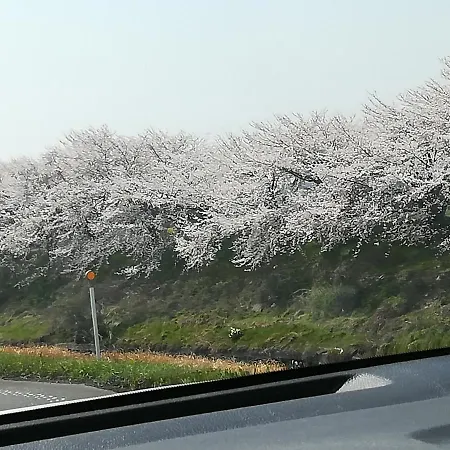 ゲストハウス山本 Gifu Esterno foto