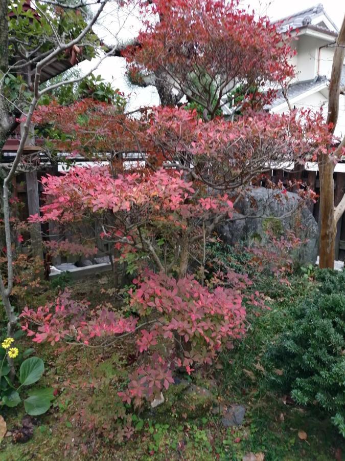 ゲストハウス山本 別墅