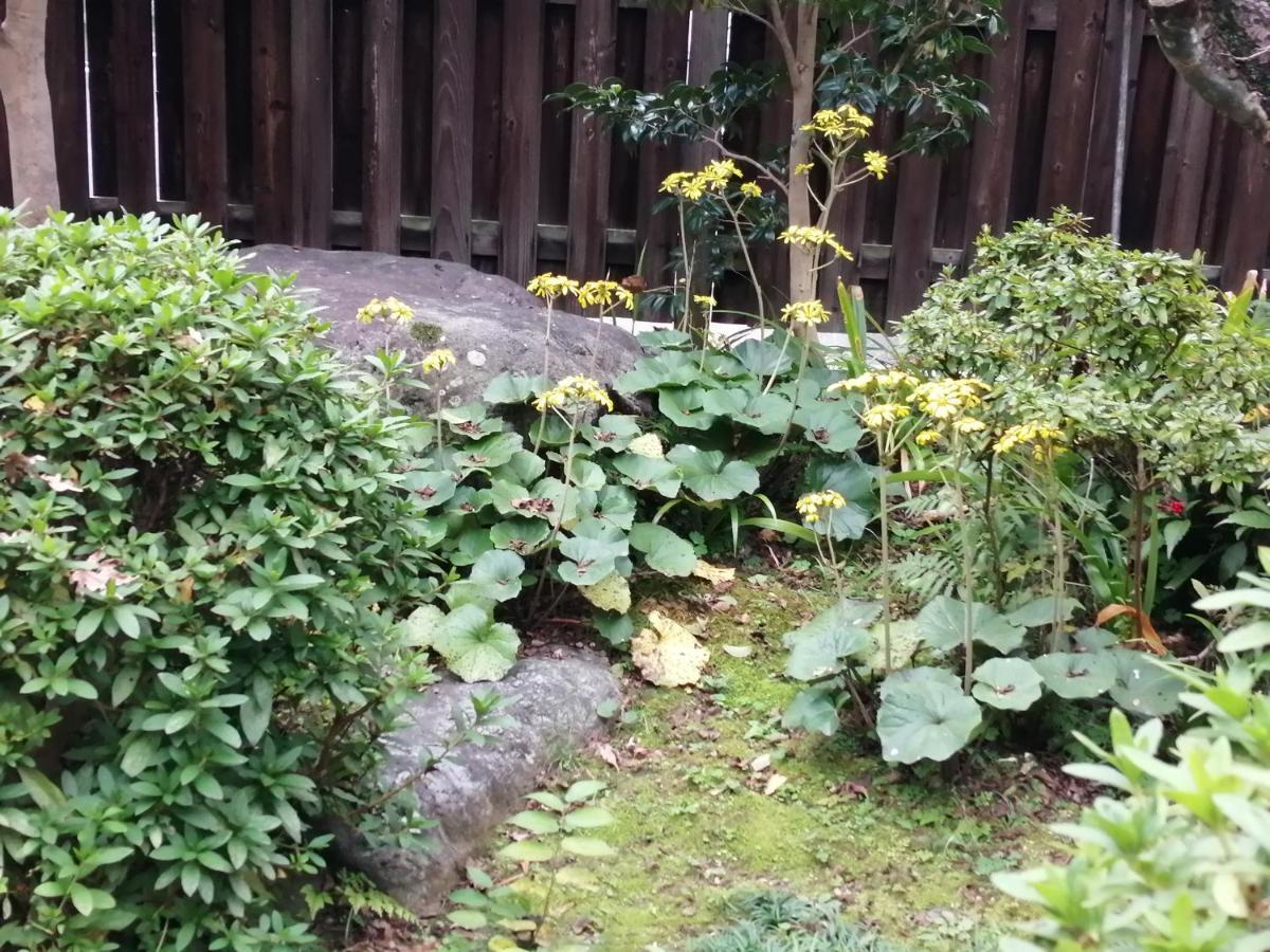 ゲストハウス山本