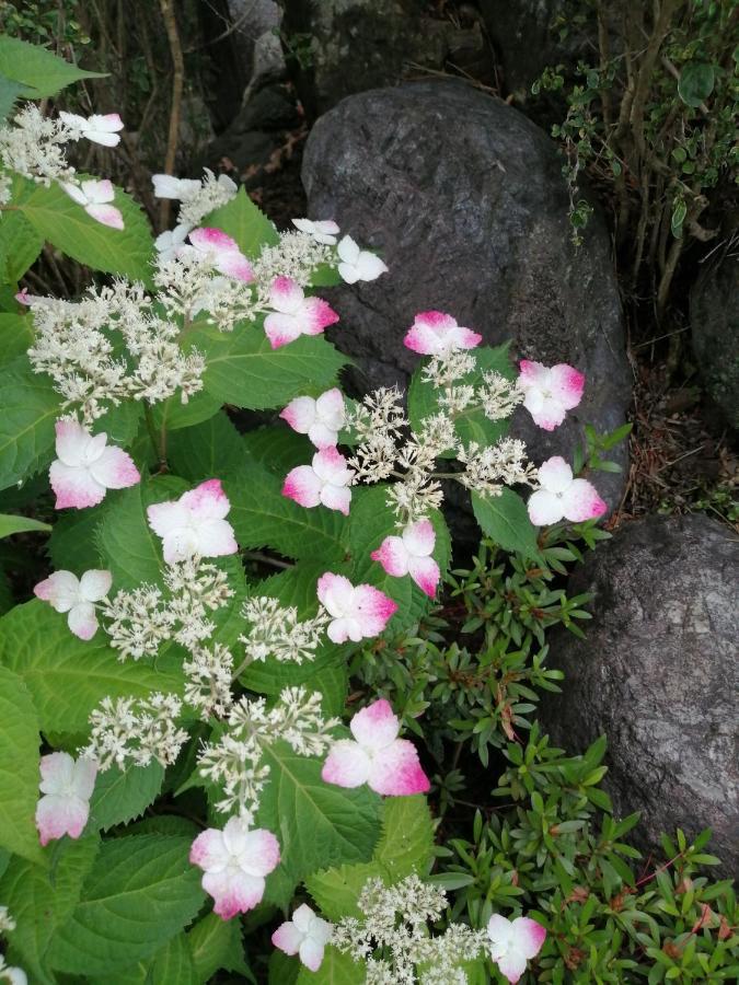 ゲストハウス山本 * 岐阜