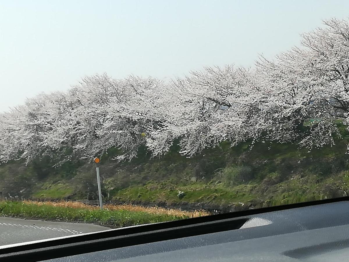 ゲストハウス山本 * 岐阜